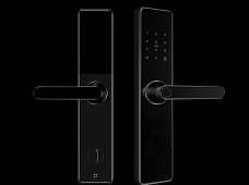 青松沃德-Wi-Fi 指紋鎖家用防盜門智能門鎖密碼鎖刷卡電子鎖 防磁干擾 防撬 L9-WT (不含鎖體，鎖體需另購）